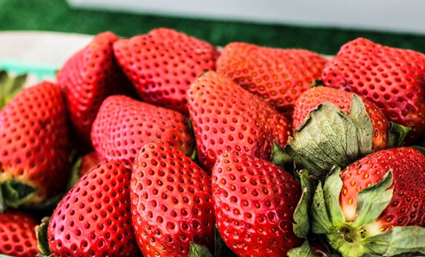 fresas